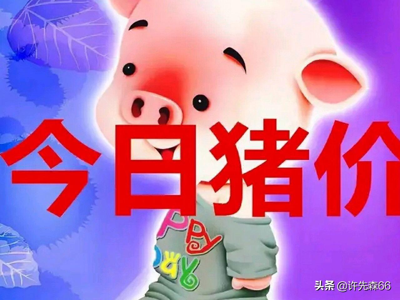 娱乐生活 第119页