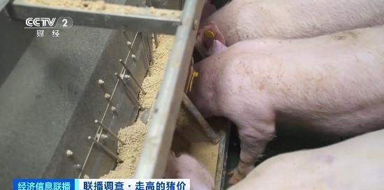 游戏专题 第23页